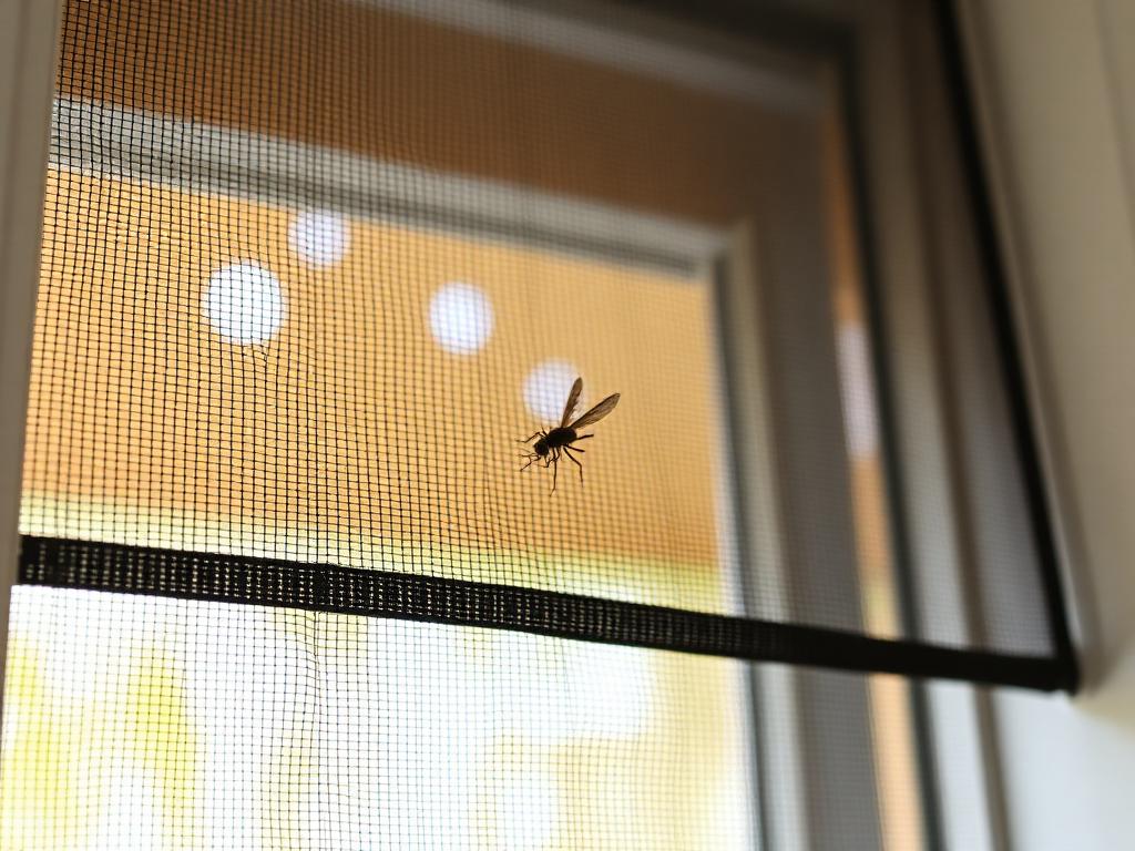 Insektenschutzgitter an einem Fenster